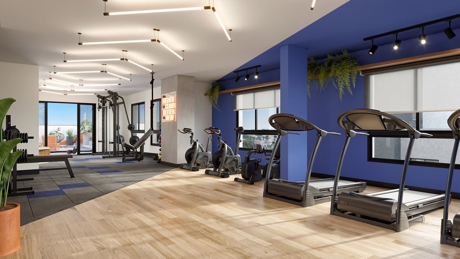 Fitness - High City Habitat 1